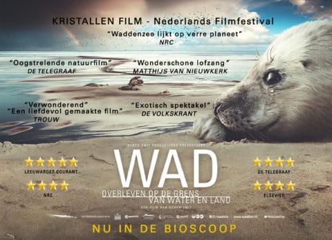 wad film in bioscoop